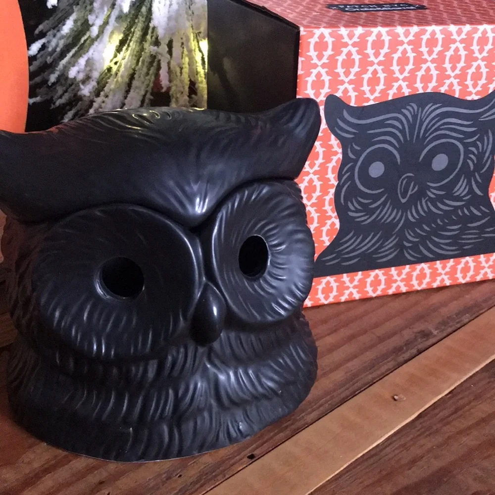 Crate&Barrel X PATCH NYC Collaboration Whimsical Black Owl Incense Burner 🦉